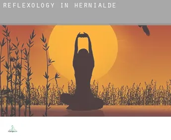 Reflexology in  Hernialde
