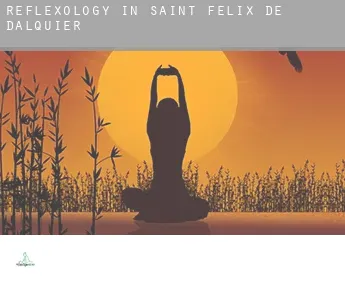 Reflexology in  Saint-Félix-de-Dalquier