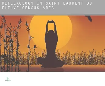 Reflexology in Saint-Laurent-du-Fleuve (census area)