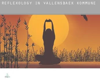 Reflexology in  Vallensbæk Kommune